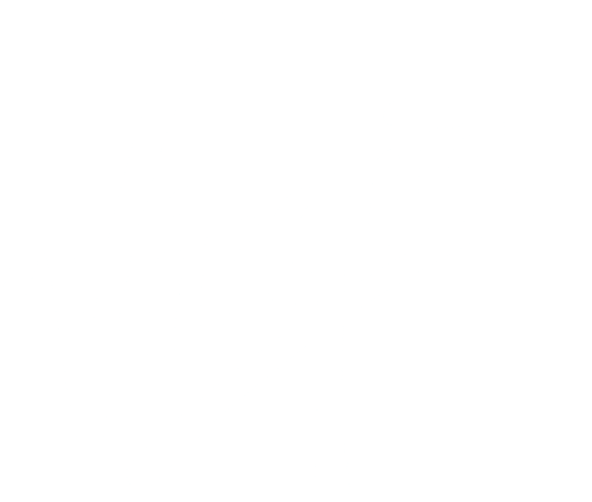 Virgin Mobile